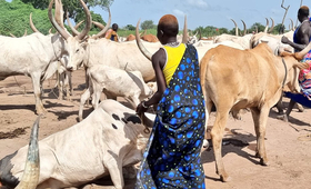 Young female herder in the cattle camp