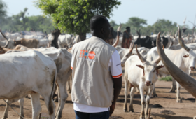 Promoting peace, gender & menstrual hygiene in cattle camps