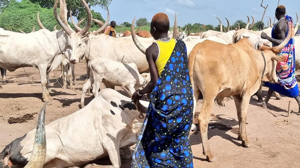 Young female herder in the cattle camp